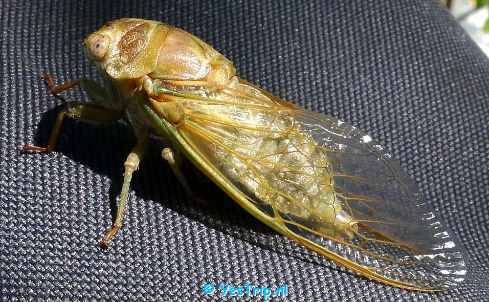 xxx From Montpellier to Gignac